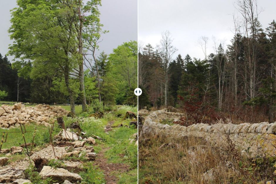 «Boviducs» – Schätze der Neuenburger Landschaft