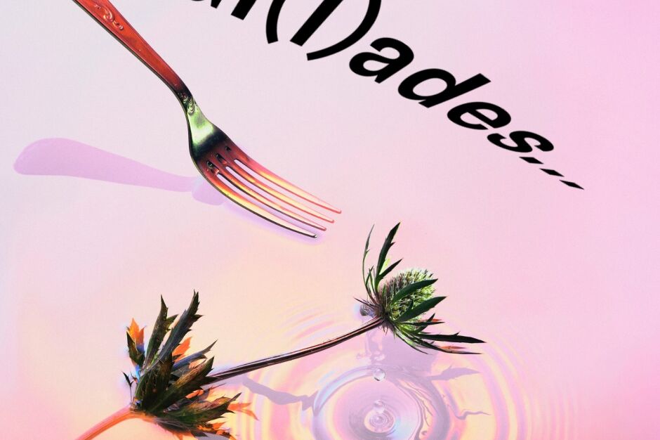 Sechs Bal(l)ades stehen 2026 auf dem Programm