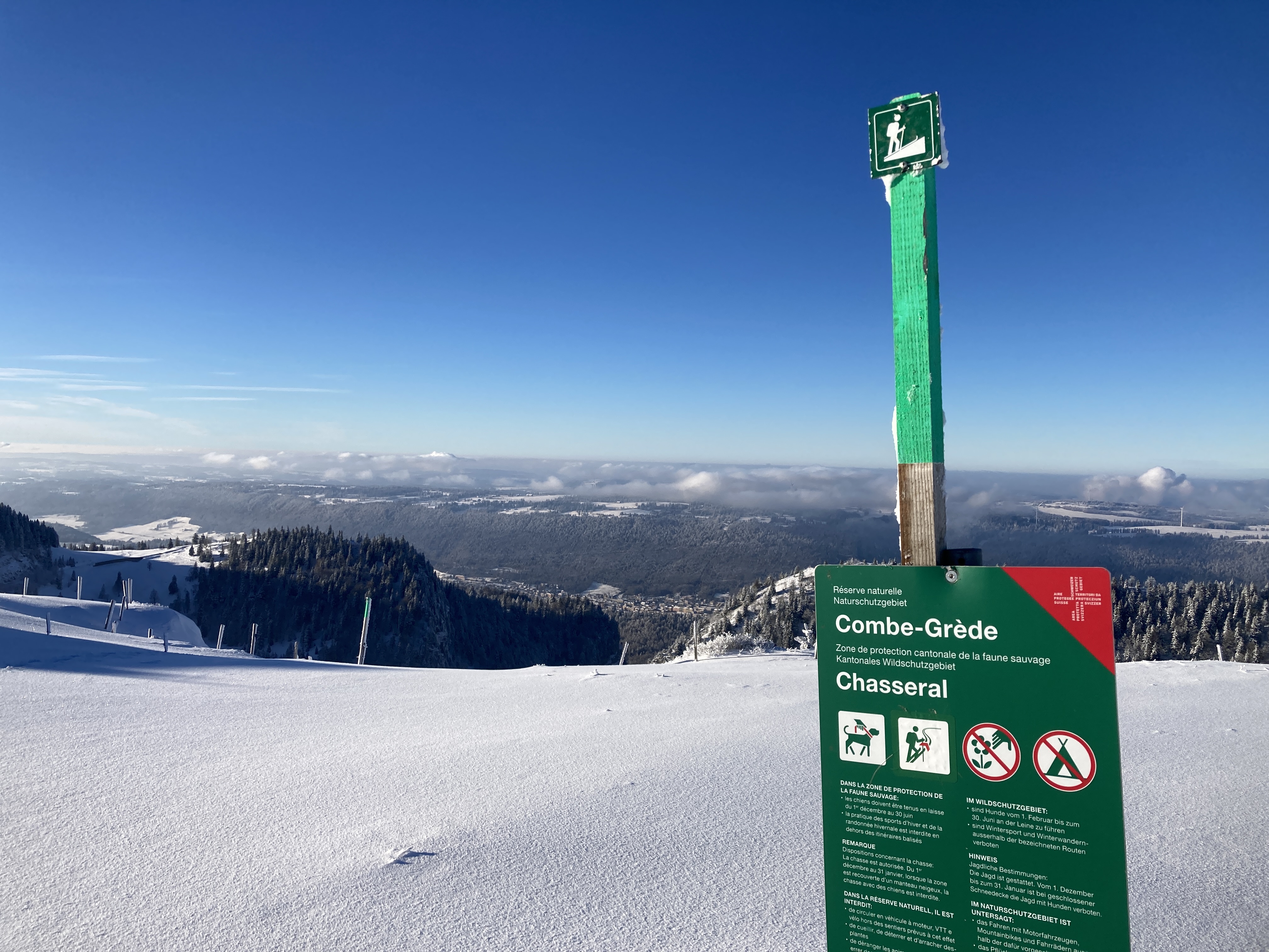 Skitourengehen mit Rücksicht auf die Tierwelt