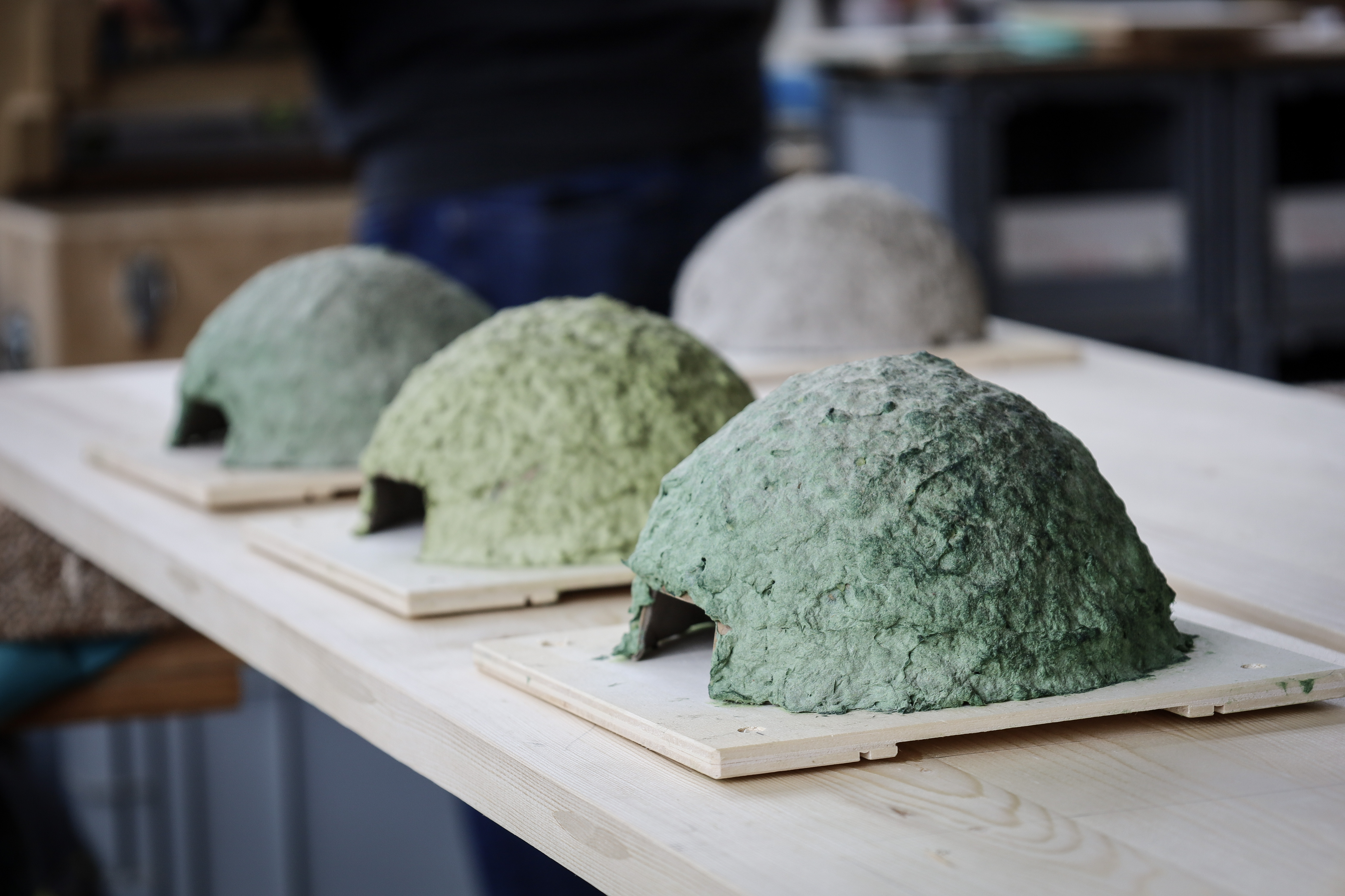 Fünf Schulklassen im Einsatz für die Mehlschwalben