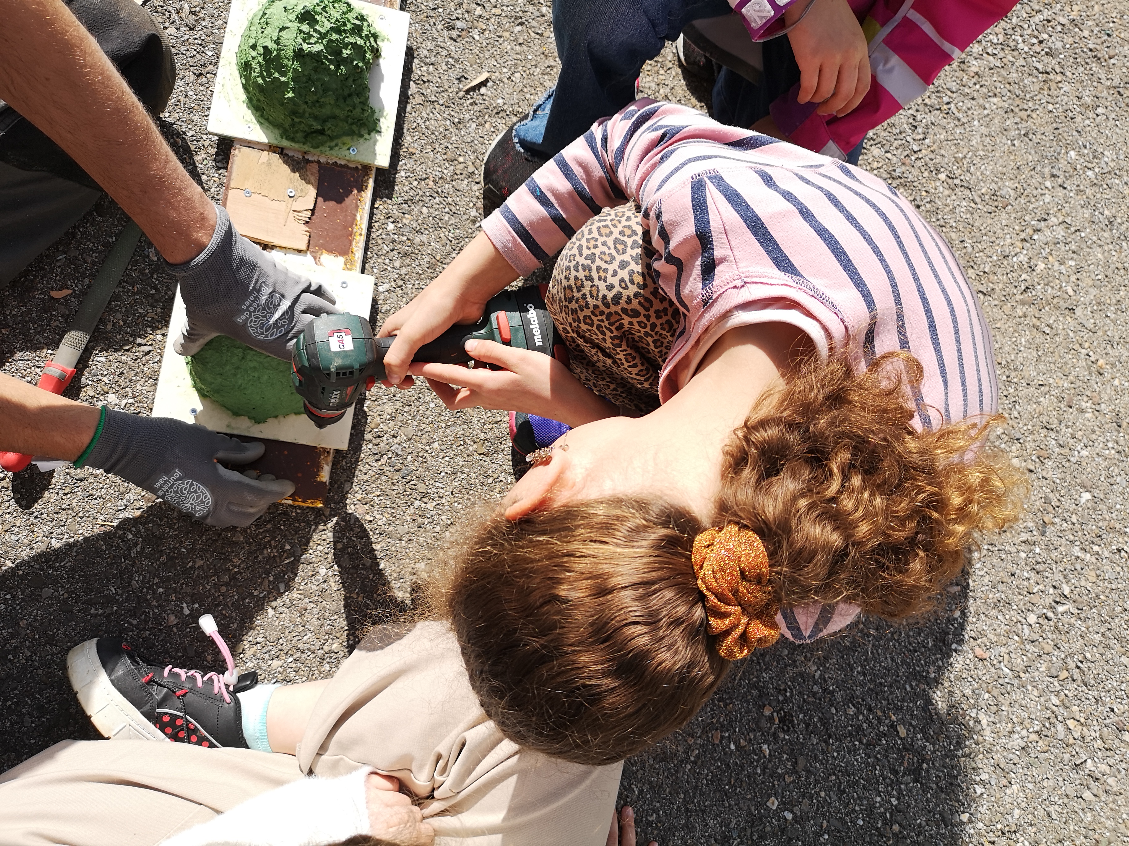 Schülerinnen und Schüler engagieren sich für die Biodiversität in Orvin