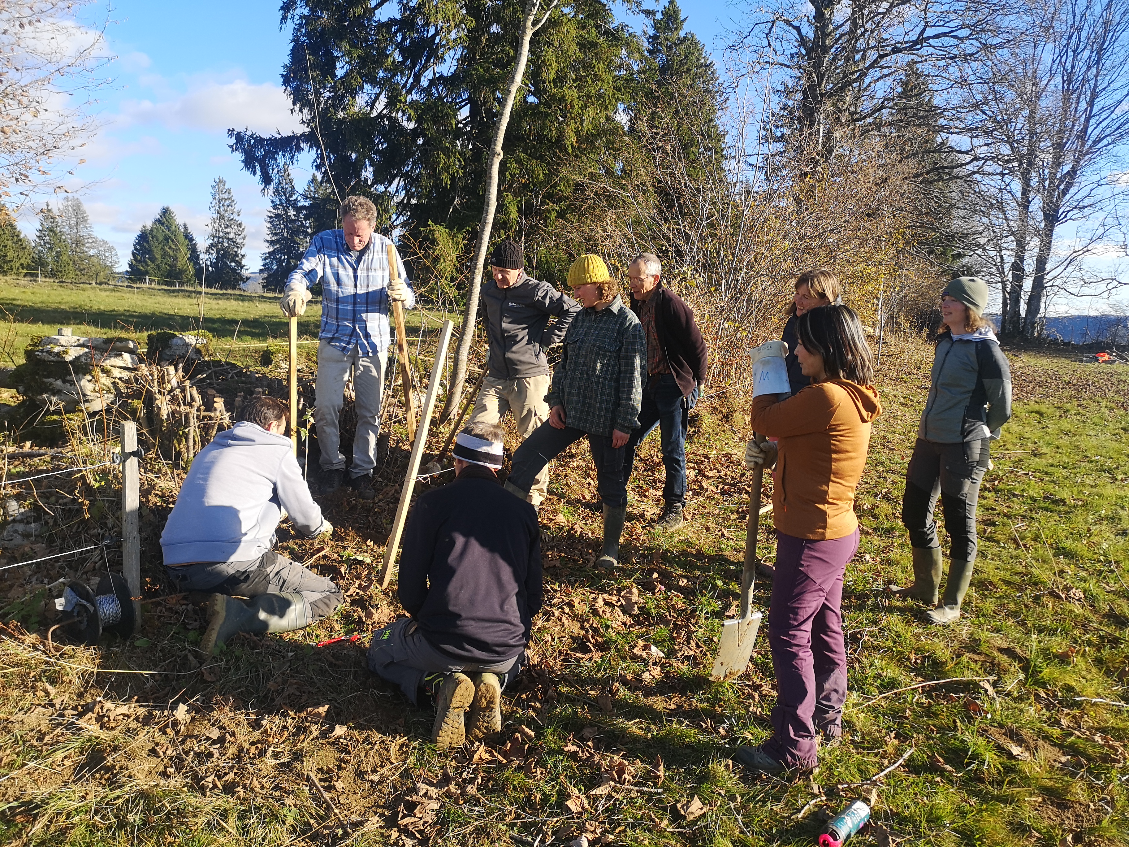 Freiwillige engagieren sich für eine Hecke voller Vielfalt