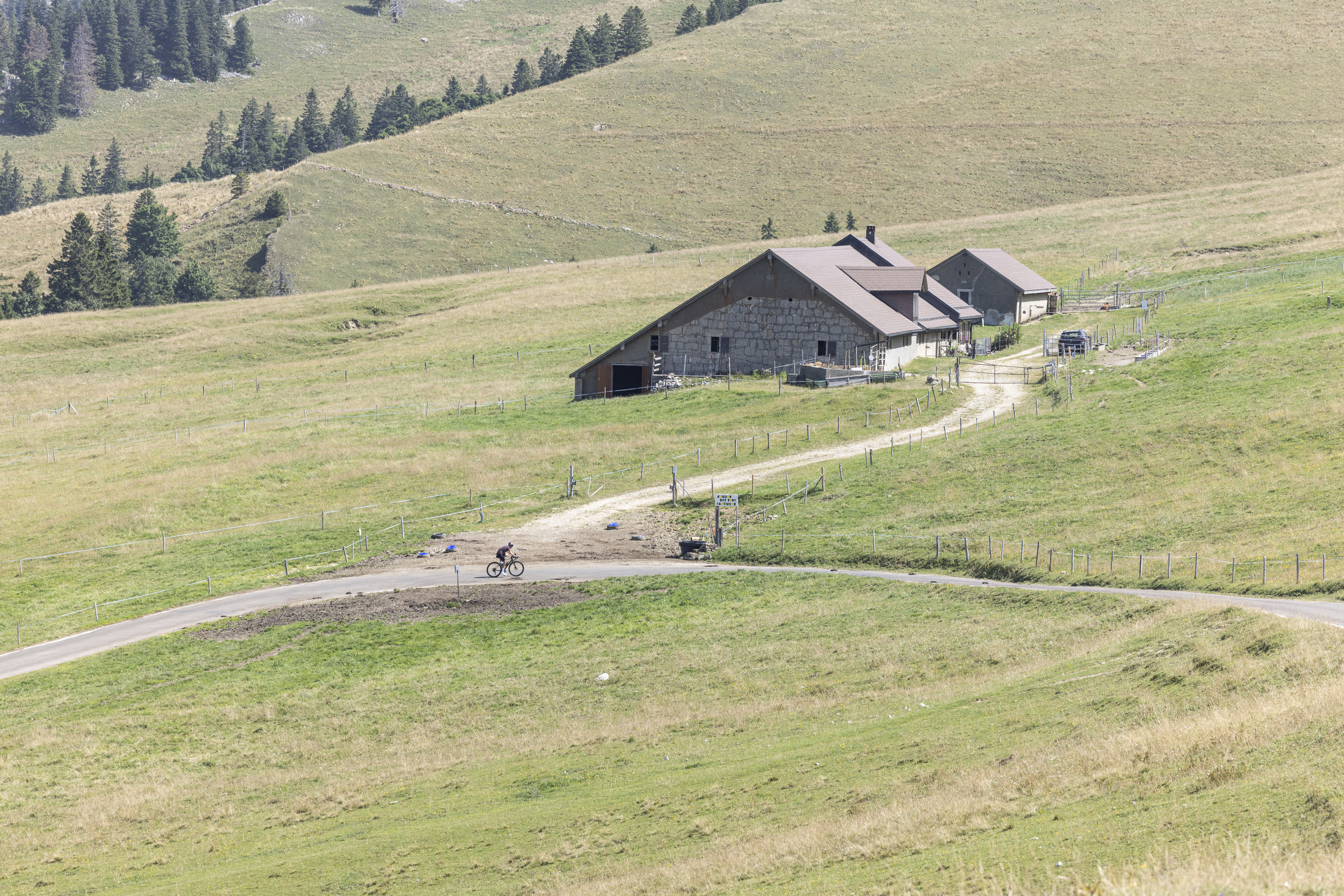 Participez à un chantier nature sur le Chasseral !