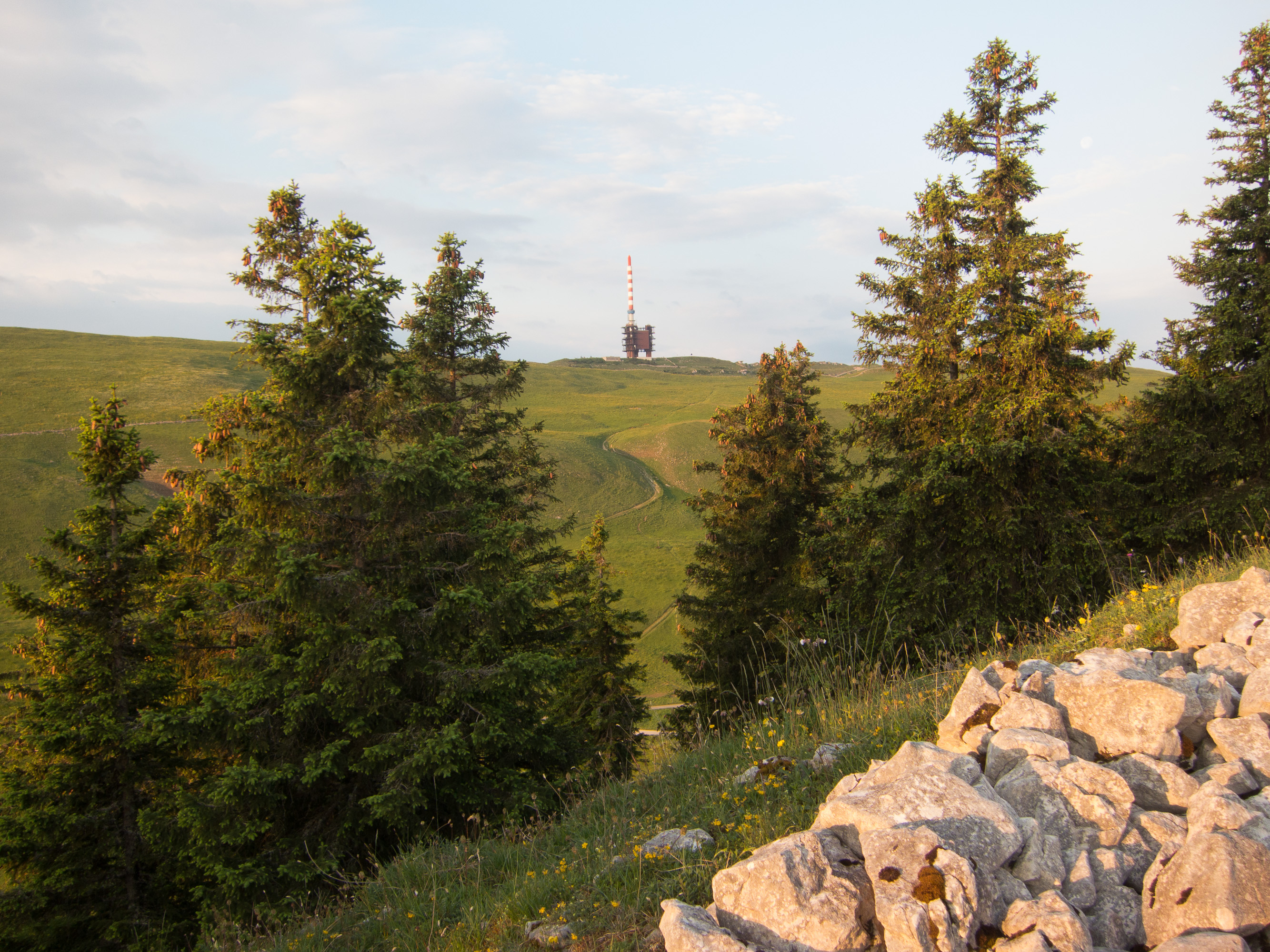 Ein neues Waldreservat auf dem Chasseral